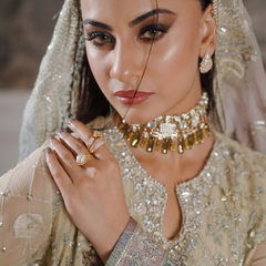 Noors GLAMOURA 01 fawn Pakistani chiffon suit detail