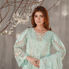 AERGUL 03 ice green chiffon Pakistani suit back with embroidered organza detailing