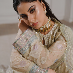Noors GLAMOURA 01 fawn Pakistani chiffon suit detail