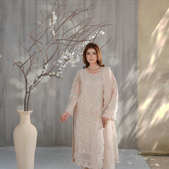 AERGUL 04 skin embroidered chiffon Pakistani suit with intricate floral detailing