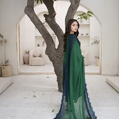 SAHOOR 04 bottle green chiffon Pakistani suit back with embroidered organza detailing