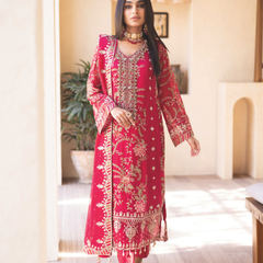 ESHAAL 05 rani pink chiffon Pakistani suit back with embroidered organza detailing