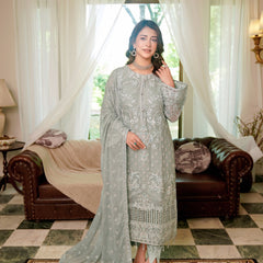 BRISA 06 ferozi chiffon Pakistani suit back with embroidered organza detailing
