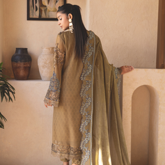 ESHAAL 08 pickle green chiffon Pakistani suit back with embroidered organza detailing