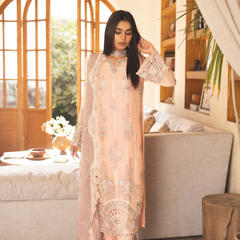 ESHAAL 04 peach pink chiffon Pakistani suit back with embroidered organza detailing