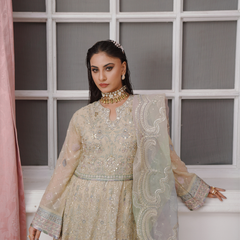 GLAMOURA 01 fawn chiffon Pakistani suit back with embroidered organza detailing