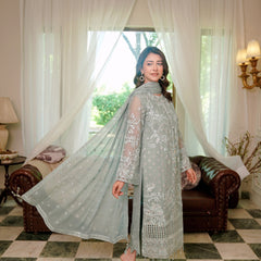 BRISA 06 ferozi embroidered chiffon sleeves with floral and organza detailing