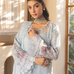 ESHAAL 02 sky blue embroidered chiffon sleeves with floral and organza detailing