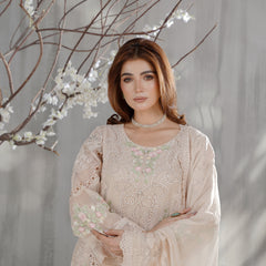 AERGUL 04 skin chiffon Pakistani suit back with embroidered organza detailing