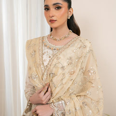 RUA 02 skin chiffon Pakistani suit back with embroidered organza detailing