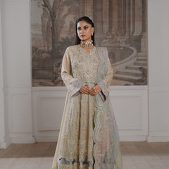 GLAMOURA 01 fawn chiffon dupatta with embroidered organza border