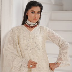 GLAMOURA 06 ash white chiffon dupatta with embroidered organza border