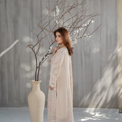 AERGUL 04 skin chiffon dupatta with embroidered organza border