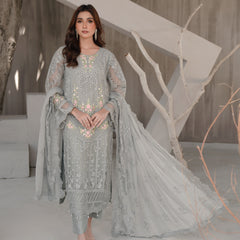 AERGUL 05 grey chiffon Pakistani suit back with embroidered organza detailing