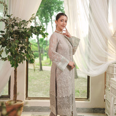 BRISA 01 l/grey chiffon Pakistani suit back with embroidered organza detailing
