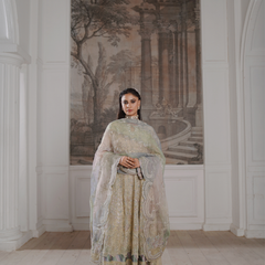 Noors GLAMOURA 01 fawn Pakistani chiffon suit detail