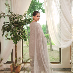 BRISA 01 l/grey chiffon dupatta with embroidered organza border