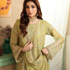 LEHR 08 floral chiffon Pakistani suit back with embroidered organza detailing