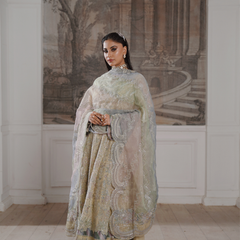 Noors GLAMOURA 01 fawn Pakistani chiffon suit detail