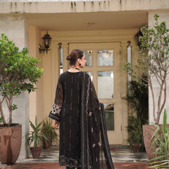 BRISA 09 black chiffon dupatta with embroidered organza border