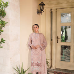 BRISA 04 pink embroidered chiffon Pakistani suit with intricate floral detailing