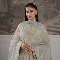 Noors GLAMOURA 01 fawn Pakistani chiffon suit detail
