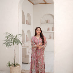 SAHOOR 02 tea pink chiffon Pakistani suit back with embroidered organza detailing