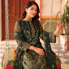 NURIN 05 poison green chiffon Pakistani suit back with embroidered organza detailing