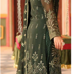 NURIN 05 poison green chiffon dupatta with embroidered organza border