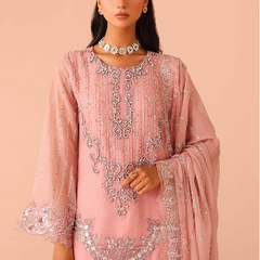ARMELIA 01 pink chiffon Pakistani suit back with embroidered organza detailing