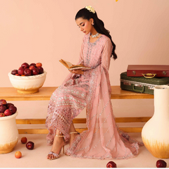 Noors ARMELIA 01 pink luxury Pakistani chiffon suit with embroidered details