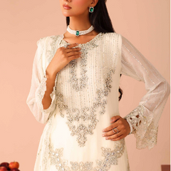 ARMELIA 02 off-white chiffon Pakistani suit back with embroidered organza detailing