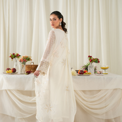 ELANORA 05 ash white embroidered chiffon sleeves with floral and organza detailing