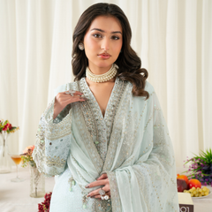 ELANORA 01 sky blue chiffon dupatta with embroidered organza border