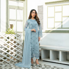 Model wearing AMAIRA 06 grey Pakistani embroidered chiffon suit by Noors